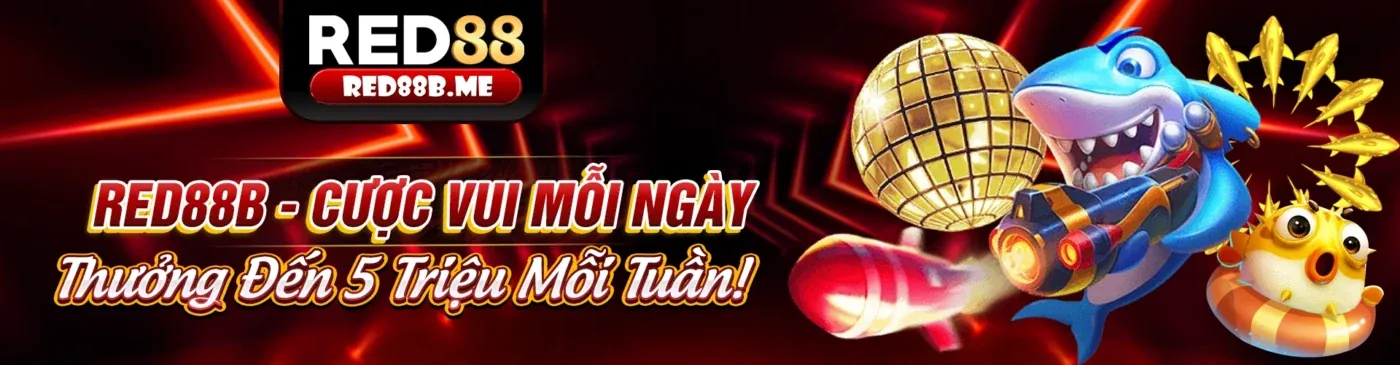 Hình ảnh tổng quan blog e2bet nhà cái, nền tảng cá cược trực tuyến hàng đầu